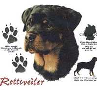 Rottweiler Clothing T-Shirts