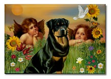 Rottweiler and angels