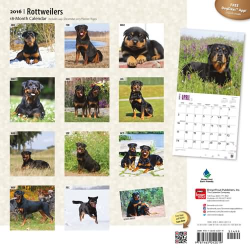 rottweiler calendars