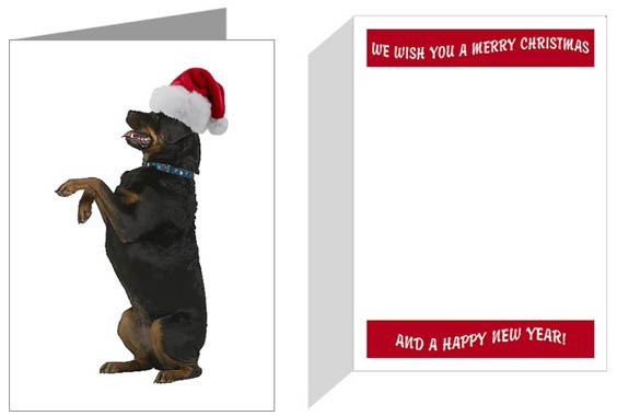 rottweiler christmas cards