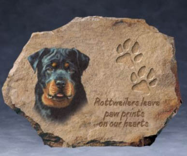 Rottweiler Leave Paw prints